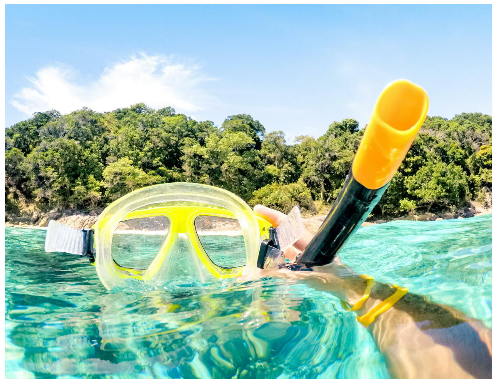 Everything you need to know about diving in Cozumel